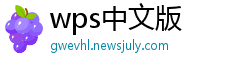 wps中文版